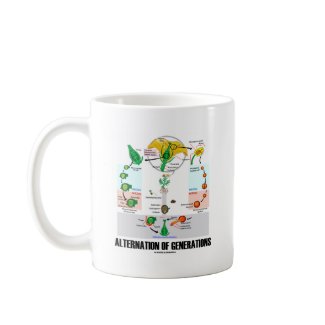 Alternation Of Generations (Flower Life Cycle) mug