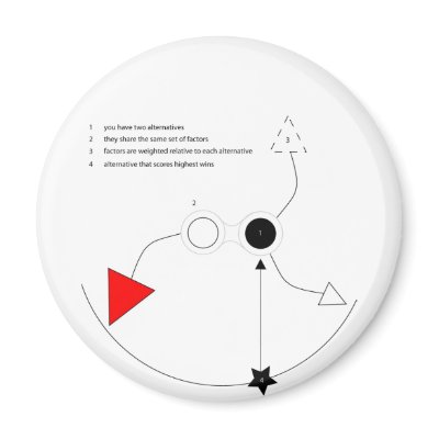 Alternatives Refrigerator Magnets by toyota8
