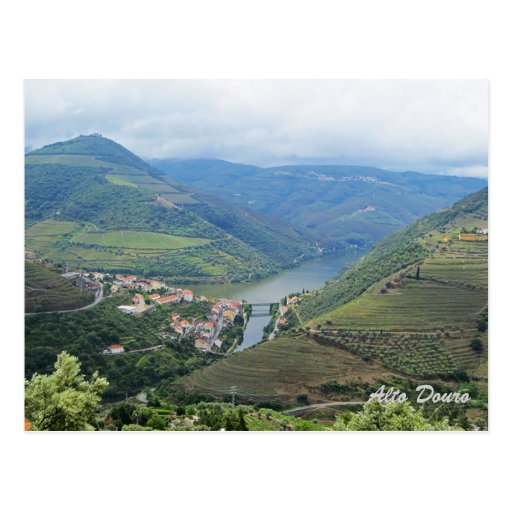 Alto Douro, World Heritage by UNESCO Postcard