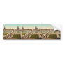Altstadt, Dresden, seen from the Ministry of War, Bumper Sticker