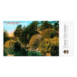 Alvin Lake Customized Photo Card