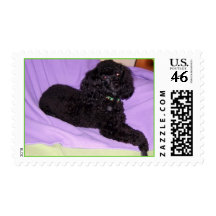 Always A Lady Postage Stamps