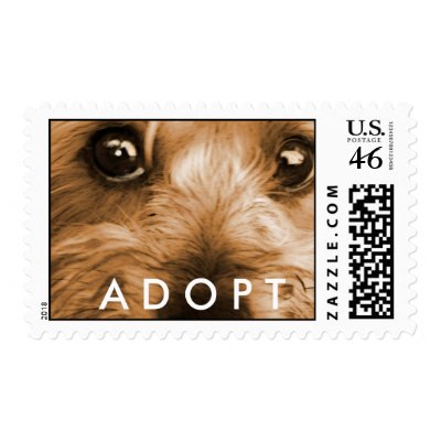 Always adopt postage stamp by ADyingArtCo