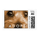 Always adopt postage stamp