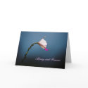 Always and Forever cards
