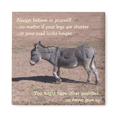 Always believe in yourself magnets by aura2000
