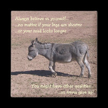 Always believe in yourself magnets