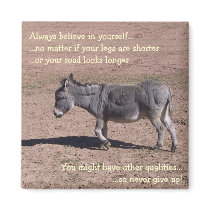 Always believe in yourself magnets