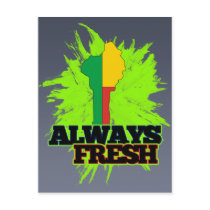 Always Fresh Benin Postcards
