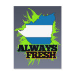 Always Fresh Nicaragua Postcard