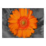 always look for the color in life greeting cards