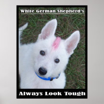Always Look Tough Print