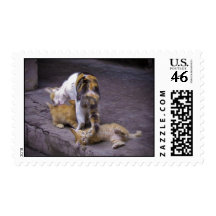 Always Multitasking: Mama Cat's Bath Time Helper Stamps