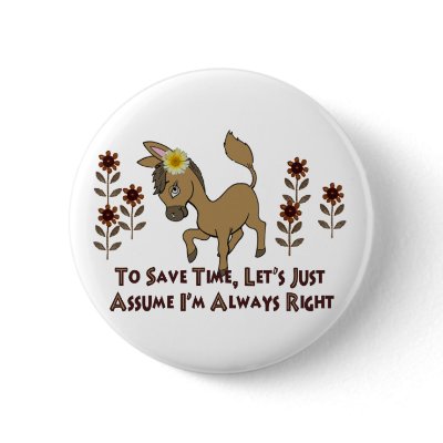 Always Right Burro Pin by orsobear