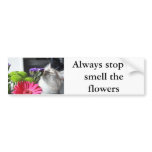 always stop to smell the flowers bumper sticker bumper stickers