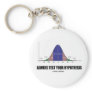Always Test Your Hypothesis (Statistical Attitude) Key Chain