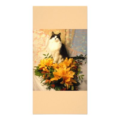 Always the Bridesmaid Personalized Photo Card by Incatneato