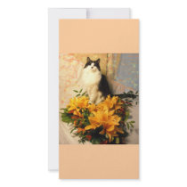 Always the Bridesmaid photo cards