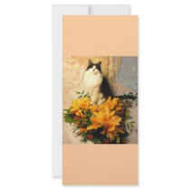 Always the Bridesmaid rack cards by Incatneato Always the Bridesmaid rack cards