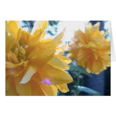 always there greeting cards by starandrea