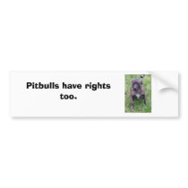 Alyaih_2, Pitbulls have rights too. bumper stickers