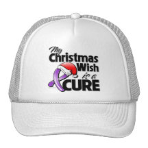 Alzheimer’s Disease My Christmas Wish is a Cure Mesh Hats
