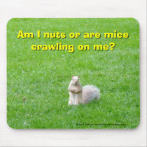 Am I Nuts? Mouse Pads