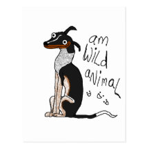 Am Wild Animal Postcard