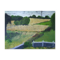 Amagansett Field postcards