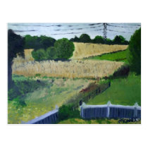 Amagansett Field postcards