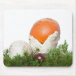 Amanita Caesarea mushroom Mouse Pad