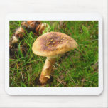 Amanita flavorubens mushroom mouse pad