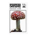 Amanita Mushroom postage