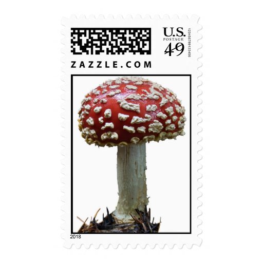 Mushroom stamp TexAgs