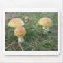 Amanita mushrooms mouse pad