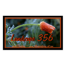 Amapola de California ligeramente helada Tarjetas De Negocios