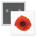 Amapola roja pin
