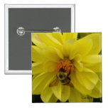 Amarillo de la abeja de 8 dalias pin