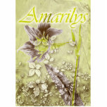 Amarilys Photo Cutout