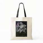 amarygia parkeri canvas bag
