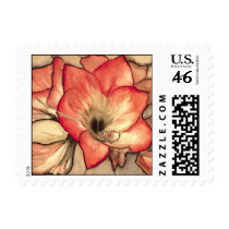 Amarylis Art Stamp by Ann Haaland