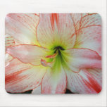Amaryllis-021 Mouse Pad