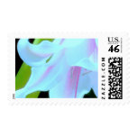 amaryllis 1 postage stamp
