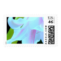 amaryllis 1 postage stamp