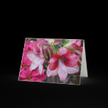 Amaryllis and Poinsettia Card
