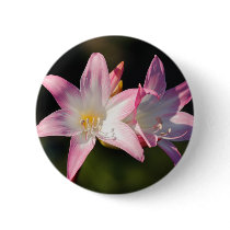 Amaryllis belladonna pins