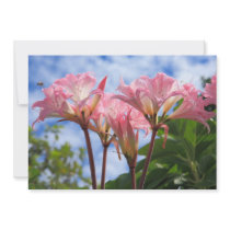 Amaryllis belladonna personalized invites