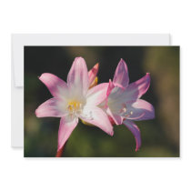 Amaryllis belladonna custom invitation