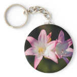 Amaryllis belladonna key chains