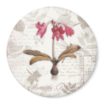 Amaryllis Belladonna Fridge Magnets